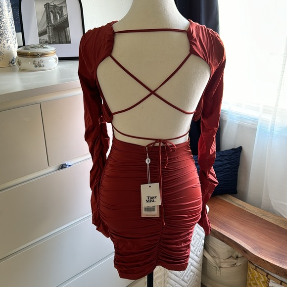 Tiger Mist Rust Orange Bodycon Dress - Picture 2 of 3